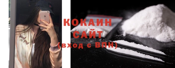стаф Верея