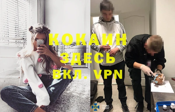 стаф Верея