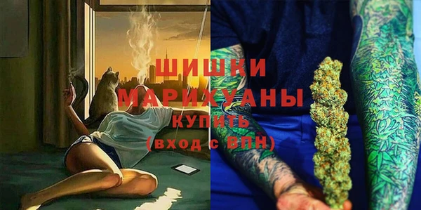 стаф Верея