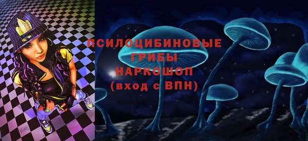 стаф Верея