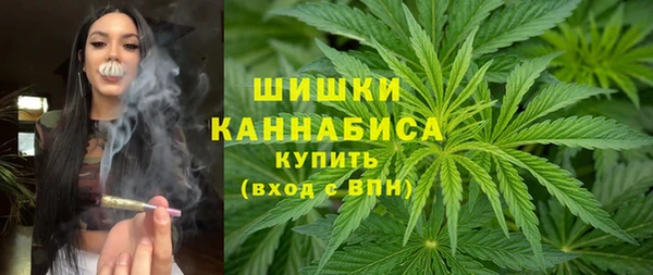 стаф Верея