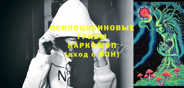 apvp Верхний Тагил