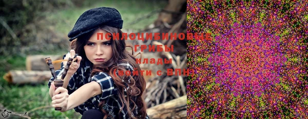 apvp Верхний Тагил